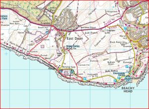 crowlink and friston