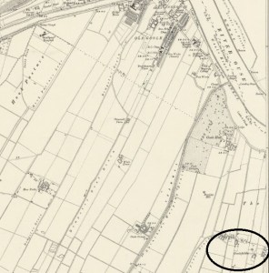 OSGooleFields1907